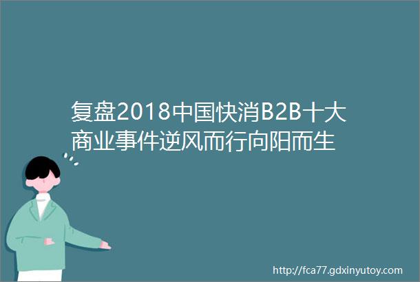复盘2018中国快消B2B十大商业事件逆风而行向阳而生